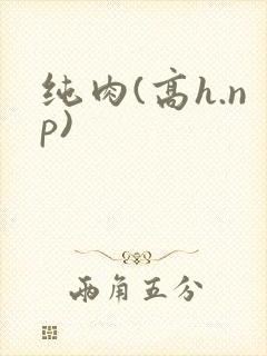 纯肉(高h.np)