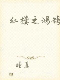 红楼之鸿鹄