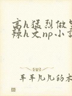 高h猛烈做哭高辣h文np小说