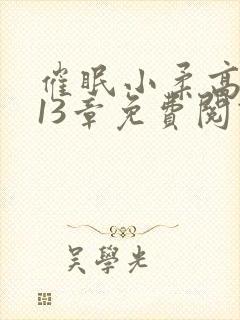 催眠小柔高达第13章免费阅读