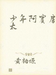 少年阿宾房东太太