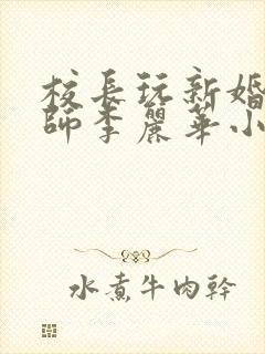 校长玩新婚女教师李丽华小说