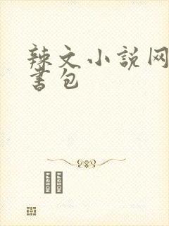 辣文小说网第二书包