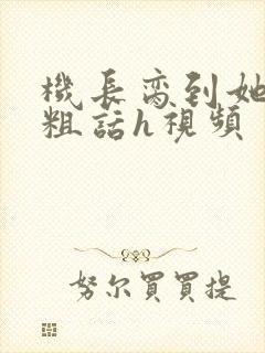 机长脔到她哭h粗话h视频