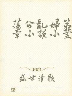 荡公乱妇第51章小说小莹