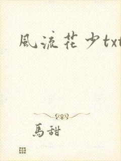 风流花少txt