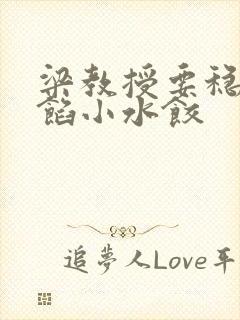 梁教授要稳住肉馅小水饺