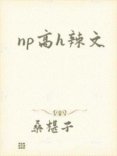 np高h辣文