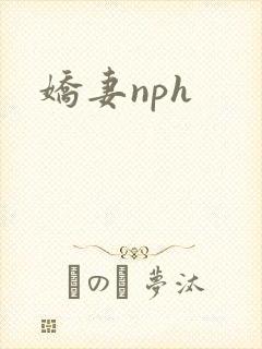 娇妻nph