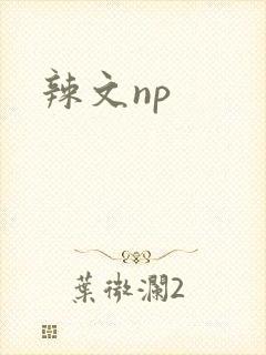 辣文np
