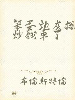 笨蛋炮灰总被爆炒翻车了