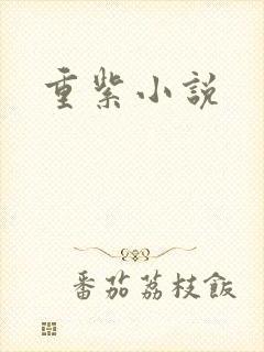 重紫小说