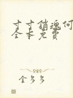 寸寸销魂何生祥全本免费