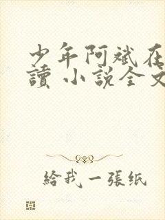 少年阿斌在线阅读 小说全文免费