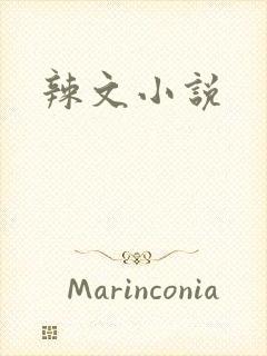 辣文小说