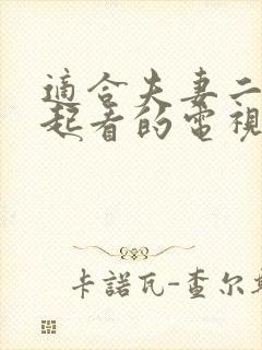 适合夫妻二人一起看的电视剧