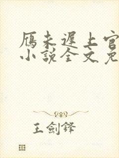 雁未迟上官穿越小说全文免费阅读