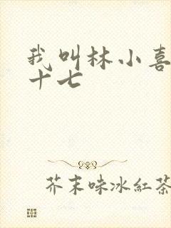 我叫林小喜今年十七