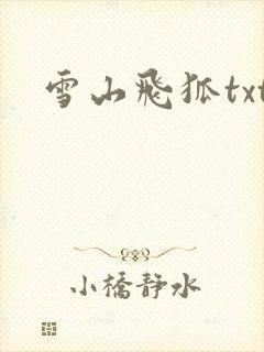 雪山飞狐txt