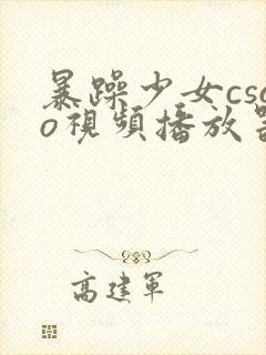 暴躁少女csgo视频播放器推荐