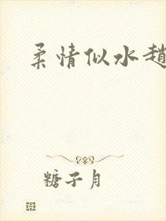 柔情似水赵雅儿