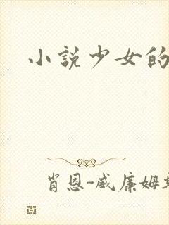 小说少女的心