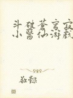 斗破苍穹寂寞的小医仙游戏世界