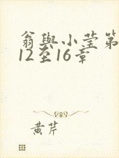 翁与小莹第十部12至16章