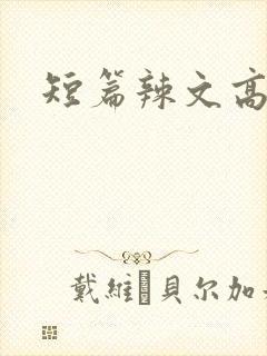 短篇辣文高h