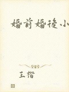 婚前婚后小说