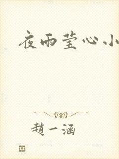 夜雨莹心小说