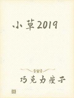 小草2019