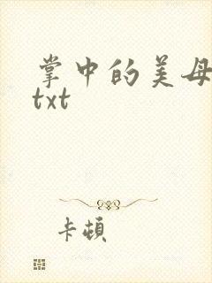 掌中的美母版主txt