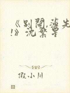 《别闹,薄先生!》沈繁星