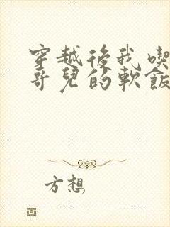 穿越后我吃到了哥儿的软饭炉山灰