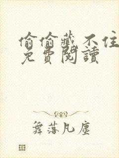 偷偷藏不住小说免费阅读