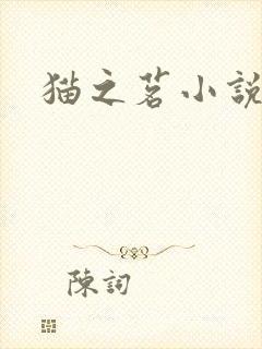 猫之茗小说