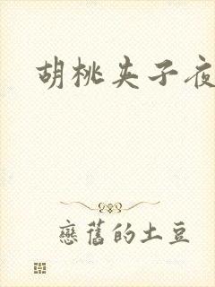 胡桃夹子夜未眠