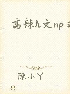 高辣h文np爽