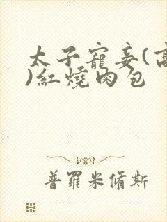 太子宠妾(高肉)红烧肉包