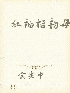 红袖招韵母攻略