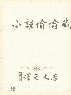 小说偷偷藏不住