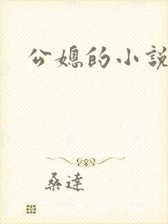 公媳的小说