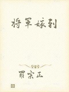 将军嫁到