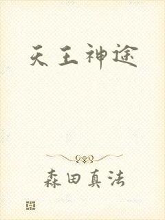 天王神途