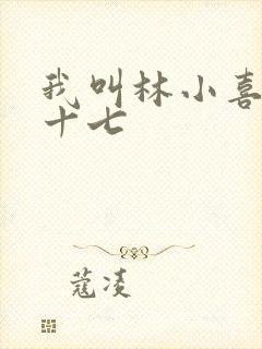 我叫林小喜今年十七