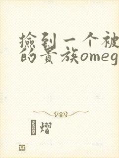 捡到一个被抹布的贵族omega