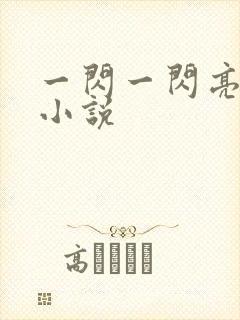 一闪一闪亮星星小说