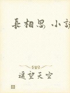 长相思 小说