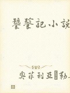 饕餮记小说